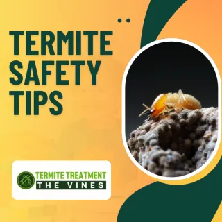 Dealing With Termites: What You Need to Know