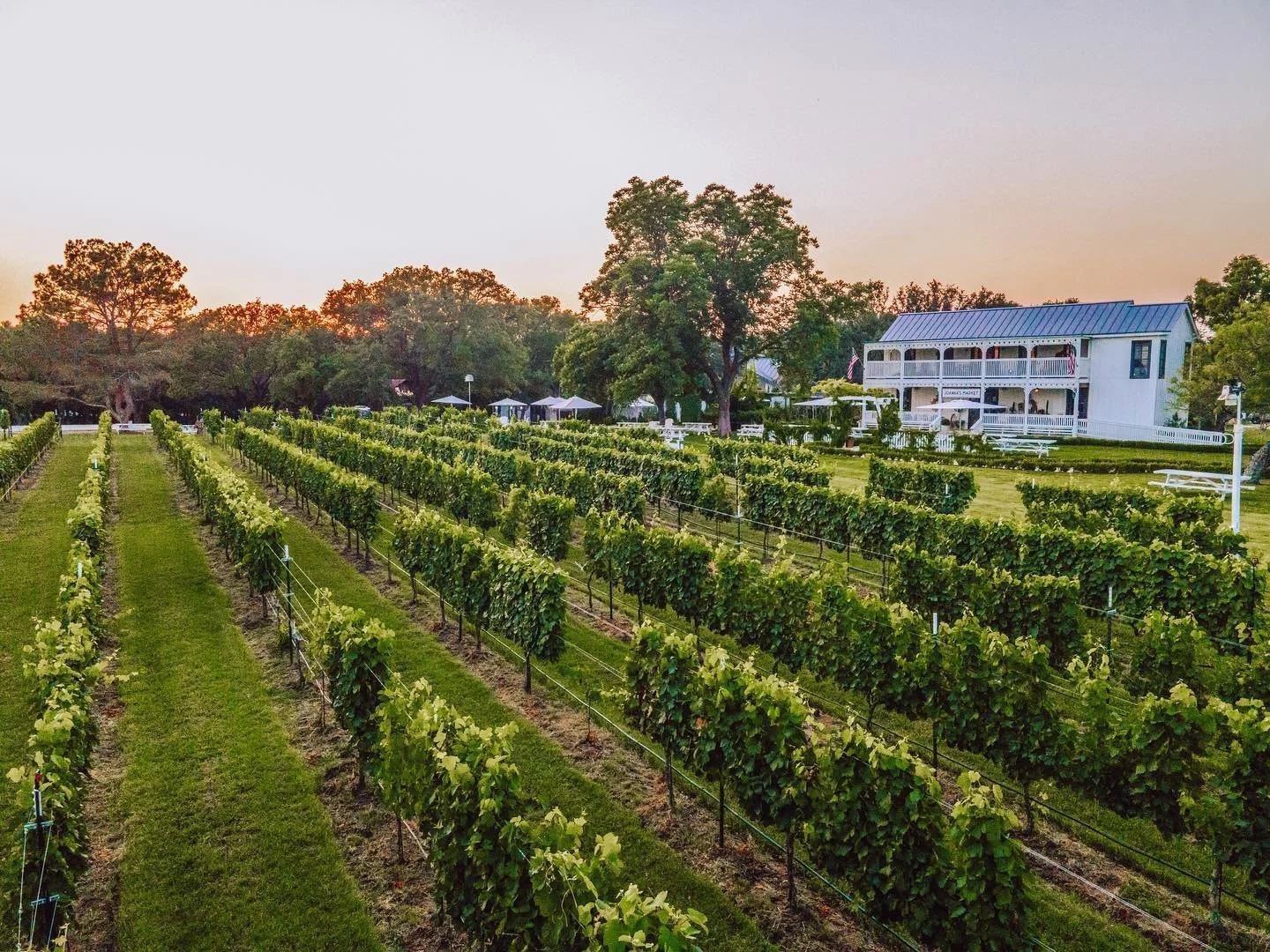 🍷 Day Trips to Fredericksburg Vineyards and Wineries: A Car Rental Guide | PRIME CARZ – Fredericksburg, VA