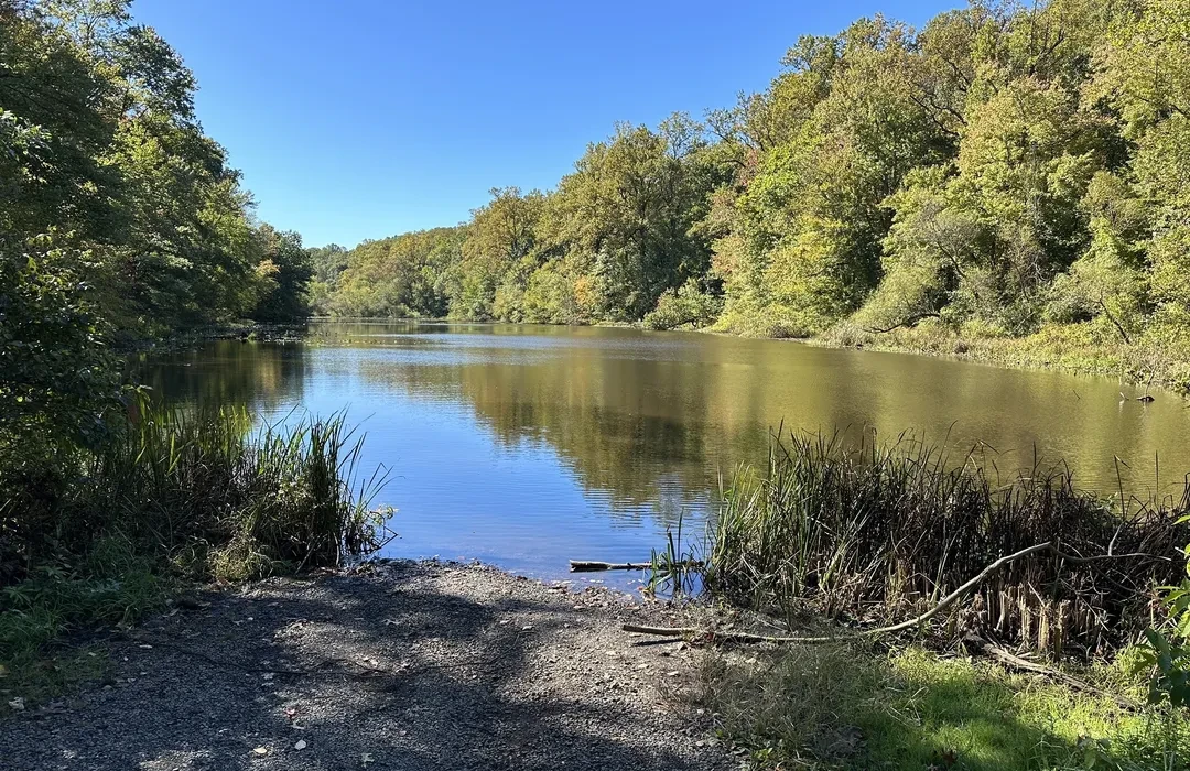 🌲Nature, Trails, and All the Vibes: Why Watchung Reservation Is New Jersey’s Outdoor Playground