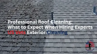 Professional Roof Cleaning: What to Expect When Hiring Experts | US Vets Exterior Cleaning