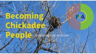 Becoming Chickadee People: Working for Wisdom