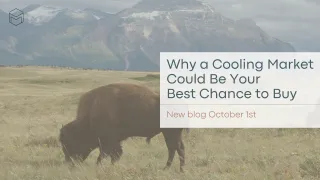 Why a Cooling Market Could Be Your Best Chance to Buy