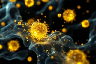 Mechanisms and Long-Term Outcomes: How Allogeneic Stem Cells Regenerate Bones, Cartilage, and Tendons