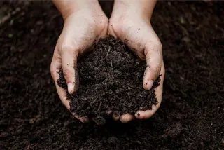 Feeding Your Gardens Microbial Community