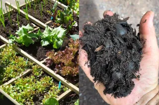 What is Biochar & Why Pachamama Regen Swears By It