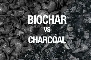 Biochar vs Charcoal