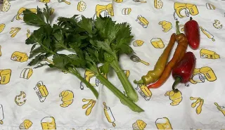 Perpetual celery?