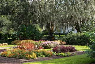 🌺Nature, Romance & Pure Florida Vibes: Why Leu Gardens Is a Whole Mood