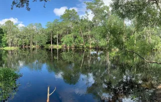 🌿Paddle, Pedal, and Play: Discover the Wild Heart of Florida at Shingle Creek Regional Park!