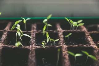 Turbo-Charge Your Revenue with the Small Business Growth Accelerator