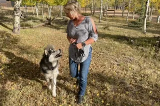 How Positive Training Saved My Puppy: My Journey to Dog Training