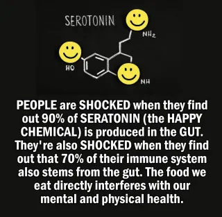 The Gut-Brain Connection | Bio-Hacking Happiness and Immunity