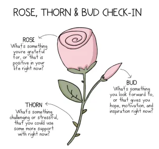 Rose, Bud, Thorn - Getting to the Heart of the Matter