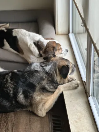 "Preparation does not guarantee success, but it will guarantee your best."  - Anonymous