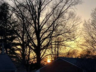 What Makes A Fulfilling Day? 
