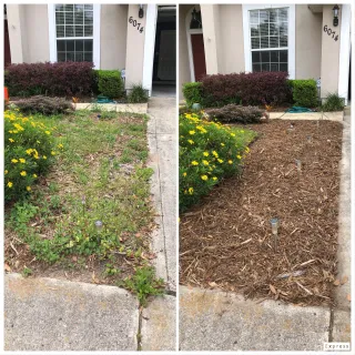 Flower Bed Prep for Winter 🌱 Your Best Defense Against Spring Weeds