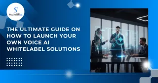 The Ultimate Guide on How to Launch Your Own Voice AI Whitelabel Solutions