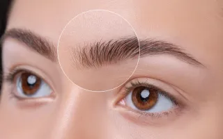 How to Choose the Right Brow Techniques For You