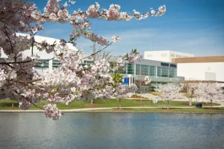 💦 Big Views, Bigger Vibes: Why Big Spring International Park Is the Heart of Huntsville 