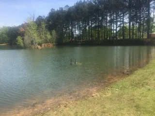🌳Hays Nature Preserve: Huntsville’s Hidden Gem Where Peace, Trails, and Nature Collide