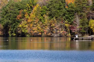 🌲 Breathe Easy, Y’all! Discover Madison County Nature Trail – Green Mountain’s Hidden Magic