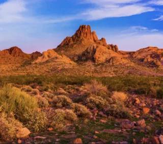 Meet the Founders: Our Vision for Wild Acres Land Co.