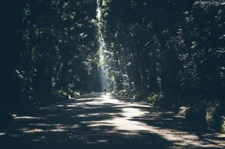 Following God’s Plan: Navigating Your Entrepreneurial Journey with Faith