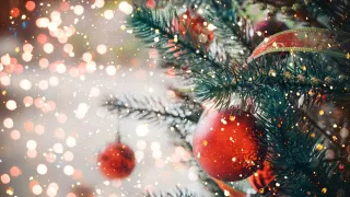 Moje Boże Narodzenie