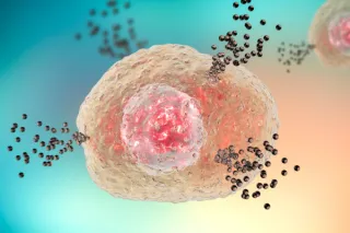 Histamine Intolerance: The Hidden Cause of Your Mystery Symptoms