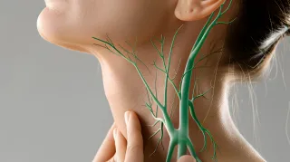 Lymphatic Drainage Explained