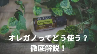 オレガノのエッセンシャルオイル（アロマオイル）にはどんな使い方があるの？オレガノオイルを徹底解説
