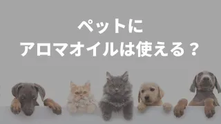 ペットにエッセンシャルオイル（アロマオイル）は使えるの？3つの注意点を紹介