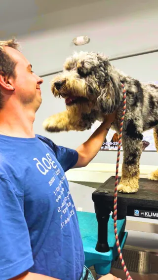 How Much Does Dog Training Cost?