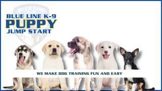 Training Classes For Service Dogs