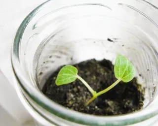 The Fundamentals of E.P.I.C. Lead Nurture