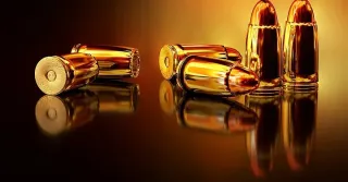 The Myth of the Magic Bullet