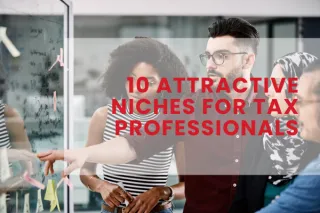 10 Attractive Niches for Tax Professionals