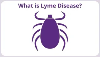 What is Lyme Disease?