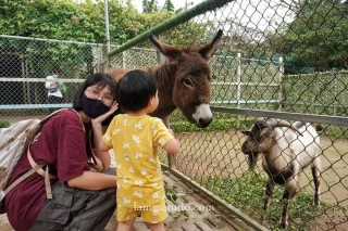 Một ngày "làm nông dân" của bé ở trang trại giáo dục Erahouse