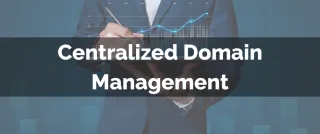 Improved Feature: Centralized Domain Management