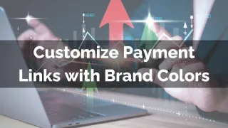 New Feature: Customize Payment Links with Brand Colors