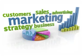 Tailored Marketing Strategies for Business Growth
