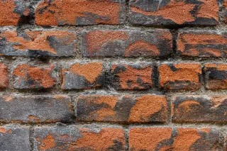 Concrete Wall vs. Block Wall: Which is More Affordable?