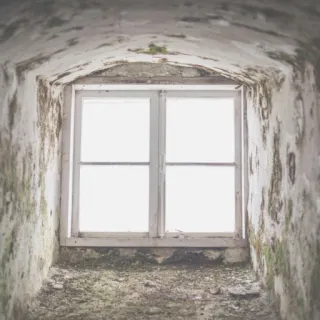 PANS, Mold & Homeopathy