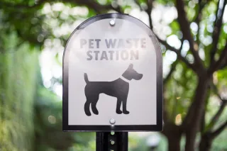 Pet Waste Myths: A Guide to Informed Decision-Making