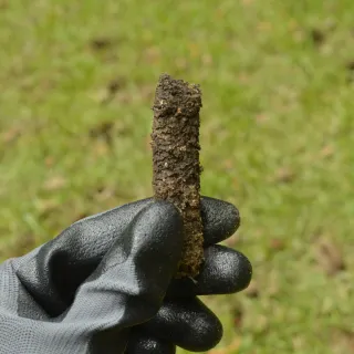 The Scoop Diaries: The Professional Scooper's Guide to Mud, Mulch, and Poop