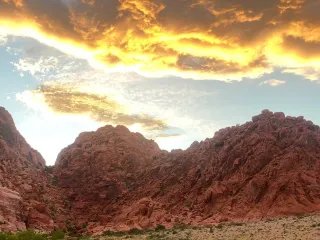 Vibrational Healing and Heaven on Earth