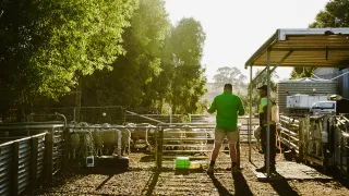 A big few years for Thrive Agri Services