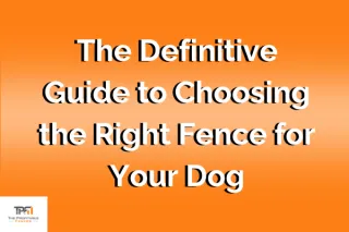 The Definitive Guide to Choosing the Right Fence for Your Dog