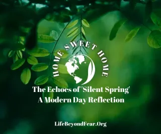 The Echoes of Silent Spring. A Modern Day Reflection
